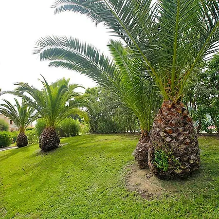 Lighthouse View I Lejlighed