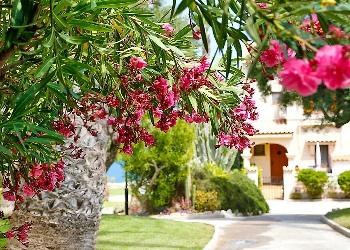 Lighthouse View I * 格兰阿利坎特
